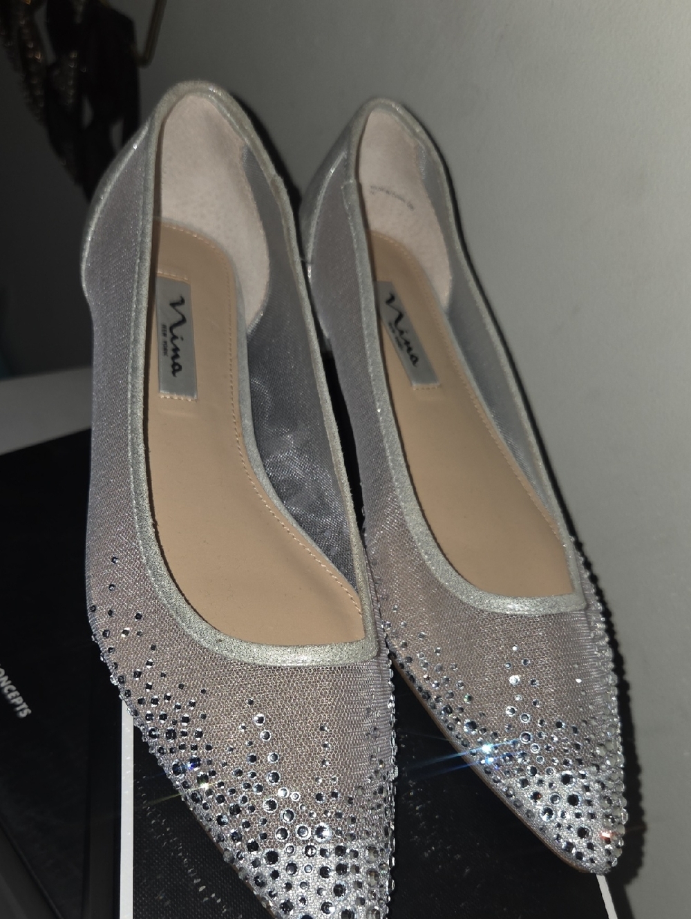 Nina Silver Rhinestone Pointed Toe Flats